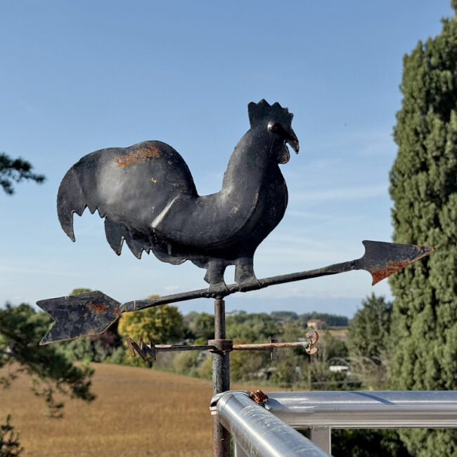 Dettaglio Venice Villa Crico - Agriturismo B&B Noventa di Piave Venezia