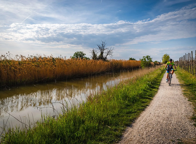 Cosa fare a Noventa di Piave: ciclabile del Piave - Agriturismo B&B Villa Crico Venezia