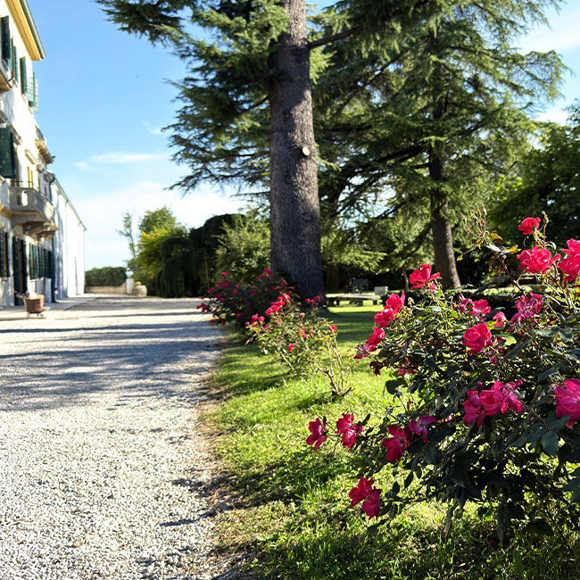 Giardino Villa Crico - Agriturismo B&B Noventa di Piave Venezia