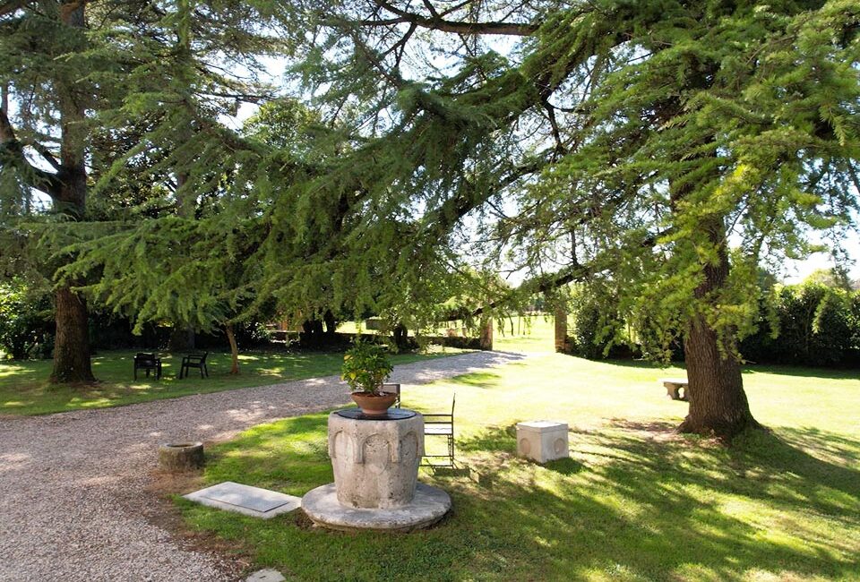Giardino Villa Crico - Agriturismo B&B Noventa di Piave Venezia
