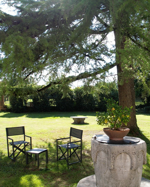 Giardino Villa Crico - Agriturismo B&B Noventa di Piave Venezia